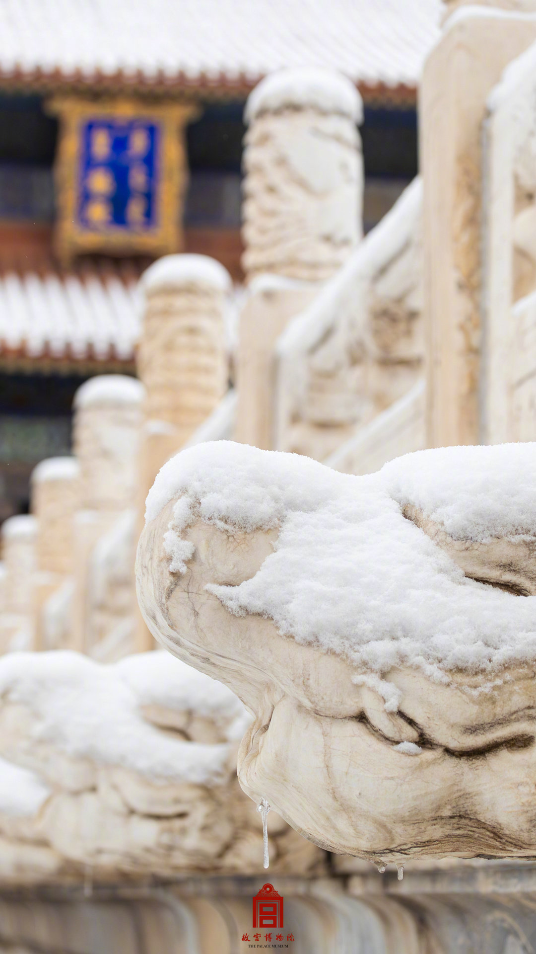 中式美学！故宫遇上春雪的氛围感