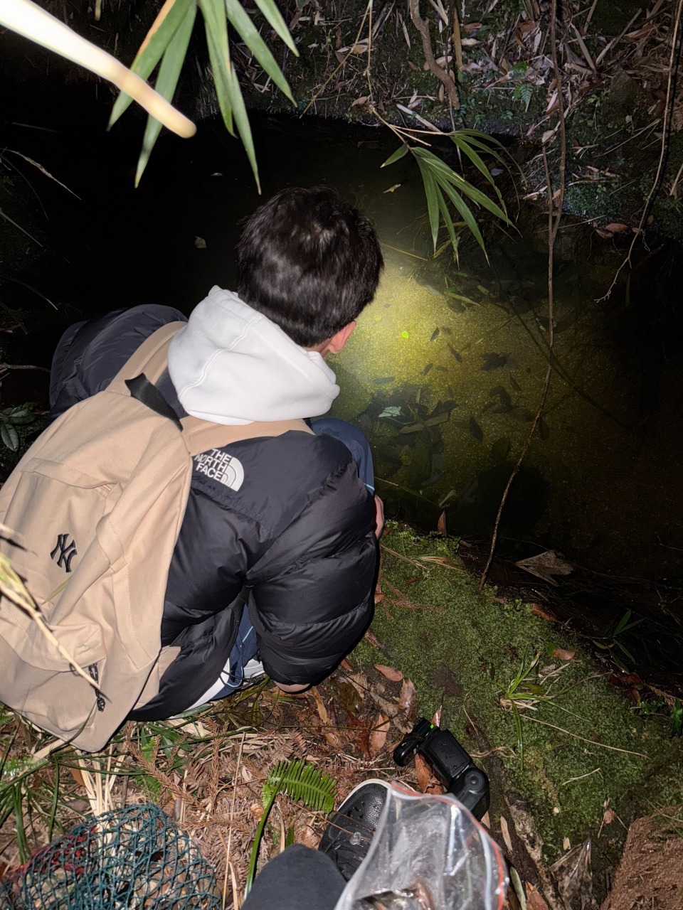 浙江17岁高中生率先发现新物种，联合发文登上SCI，当事人回应质疑：父母是普通人