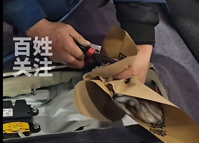 网友购买的八爪鱼钻进车内3天，找到后"鱼腥味差点把师傅熏吐"