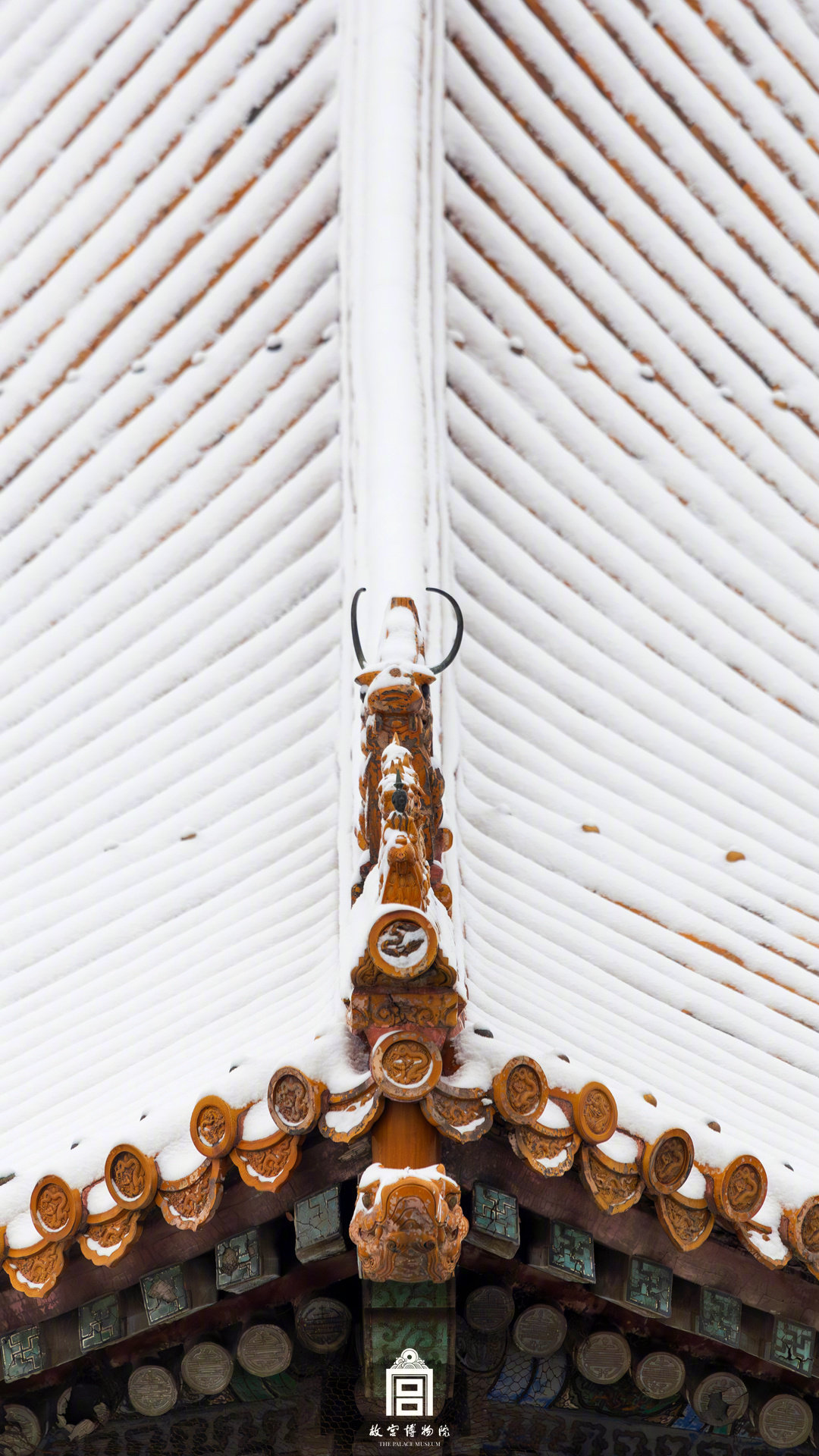 中式美学！故宫遇上春雪的氛围感