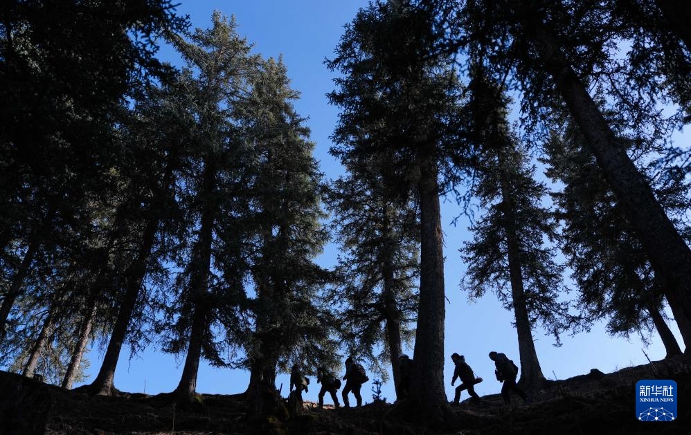 巾帼力量守护祁连山