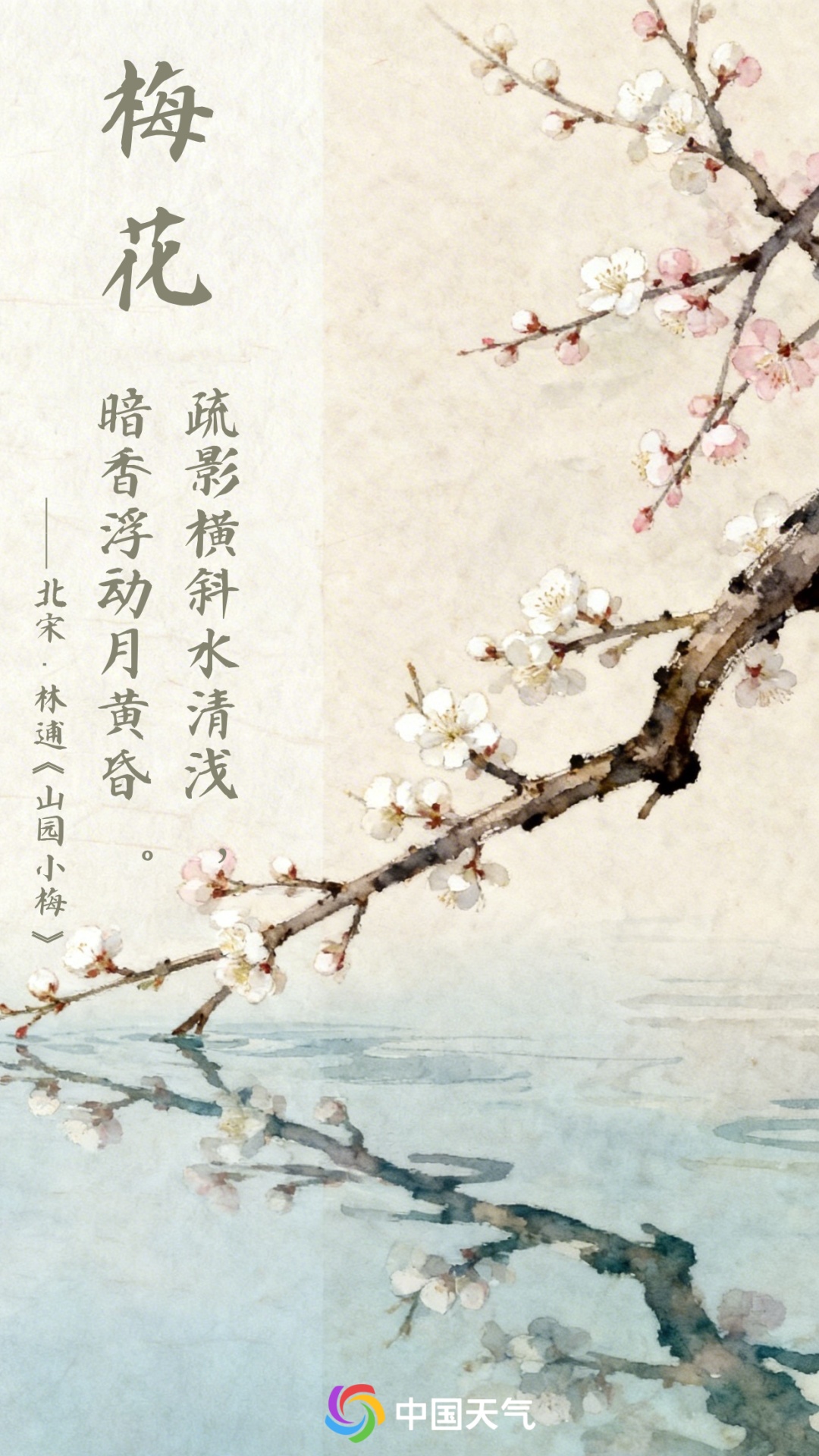 2026全国春日赏花地图出炉 邀你共赴一场古诗里的寻花之旅