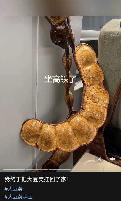 全网围观！云南“过江龙”也是坐上飞机了