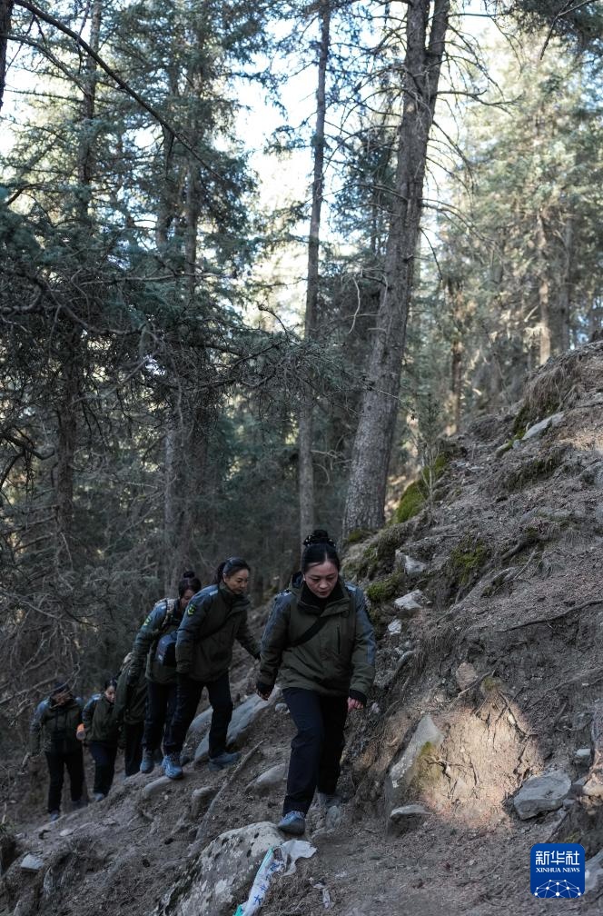 巾帼力量守护祁连山