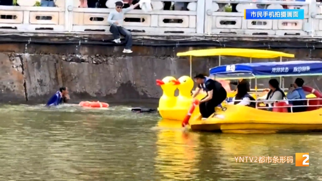 太突然！女游客拍照不慎坠入翠湖，他们接二连三跳了进去