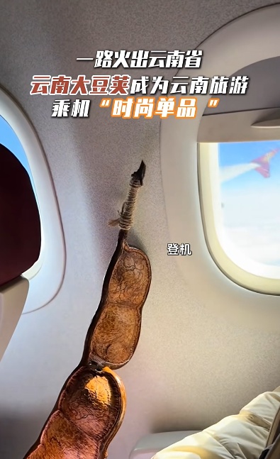 全网围观！云南“过江龙”也是坐上飞机了