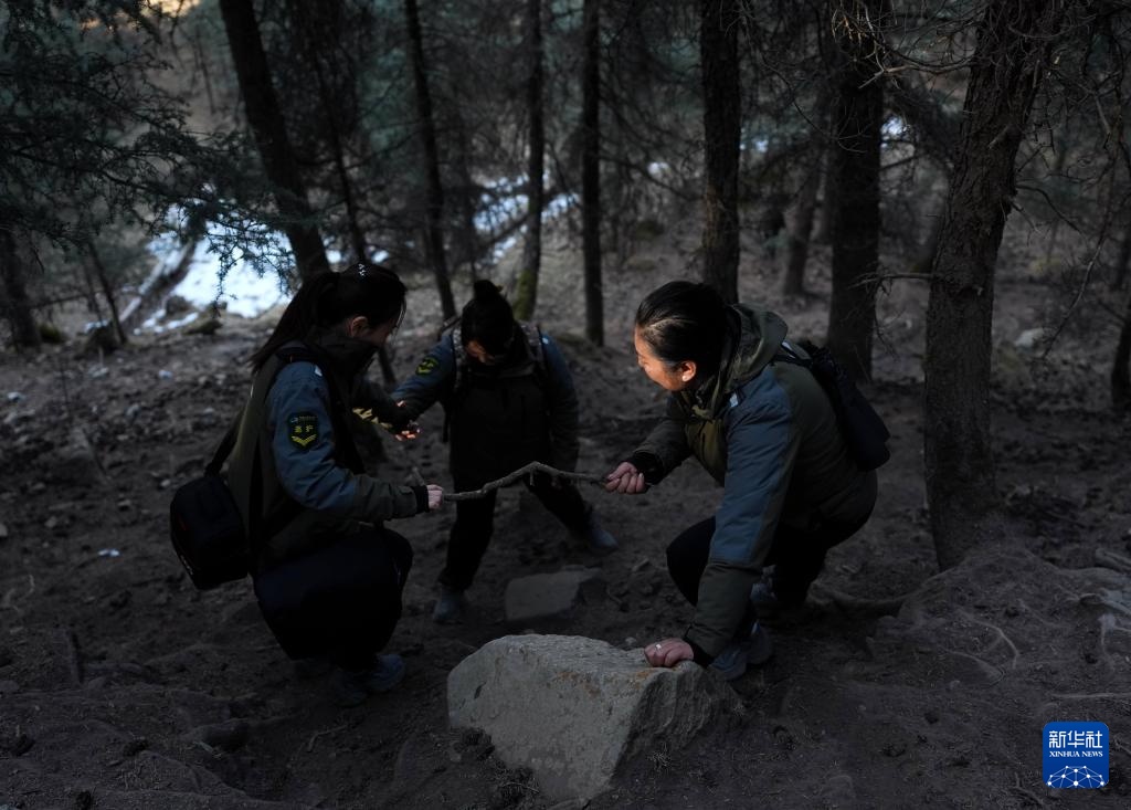 巾帼力量守护祁连山