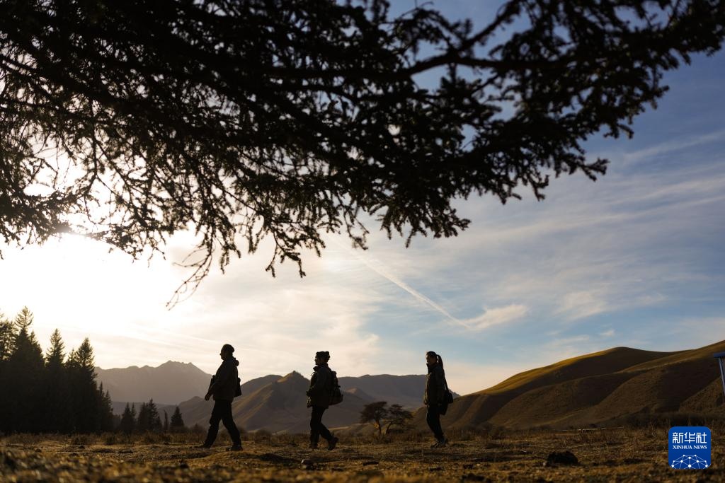 巾帼力量守护祁连山
