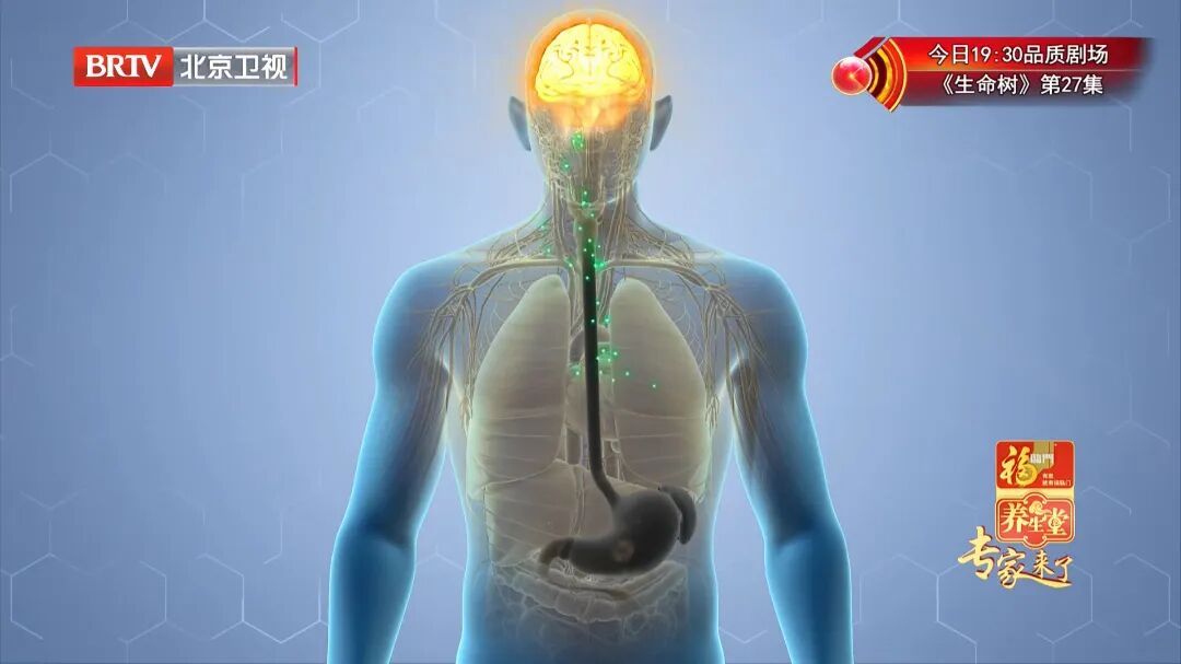 养脾胃比小米还厉害，连喝7天，肚子舒坦了，上中下都通了