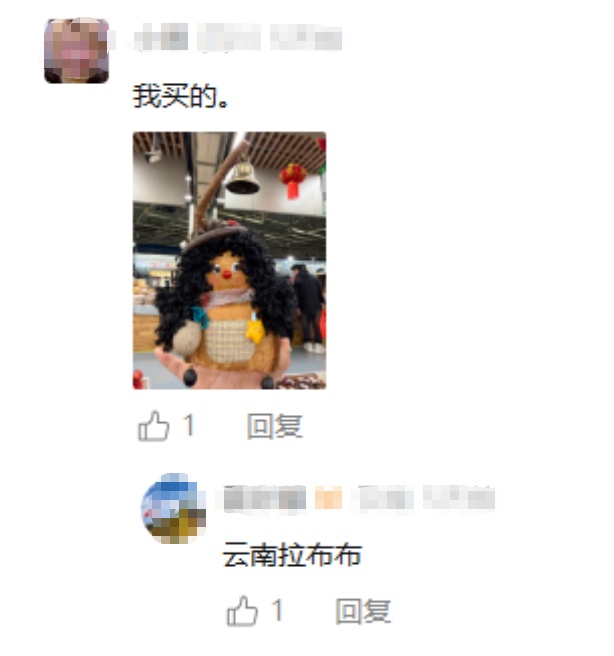 全网围观！云南“过江龙”也是坐上飞机了