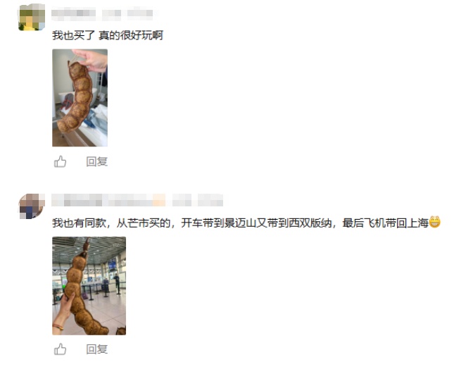 全网围观！云南“过江龙”也是坐上飞机了