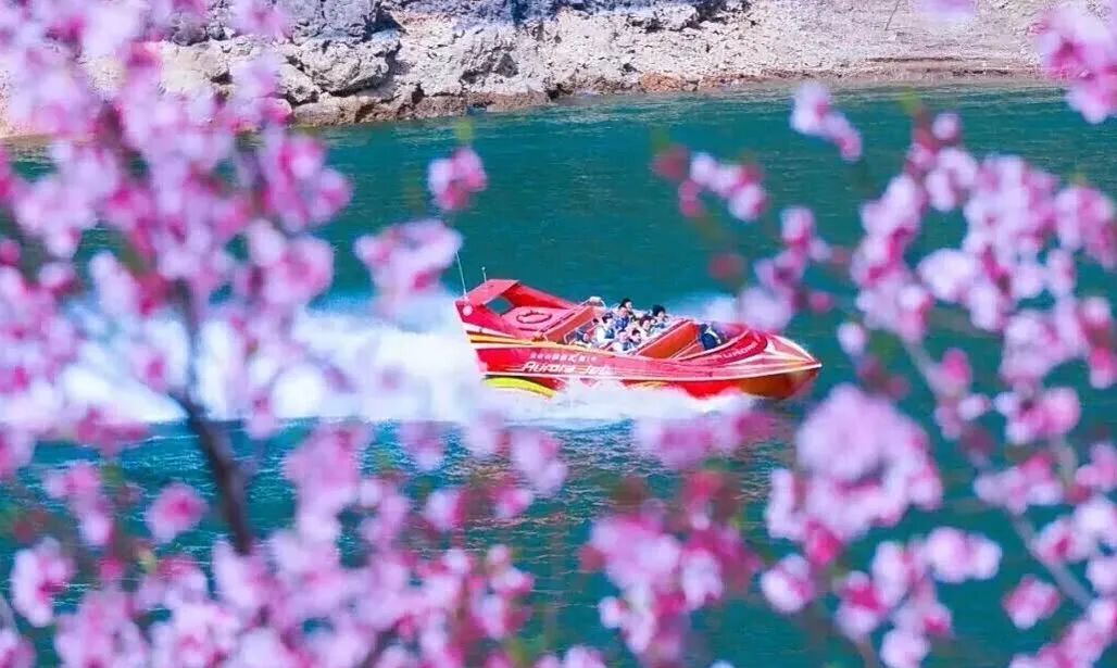 河南：多家景区，女士免门票、男士半价→