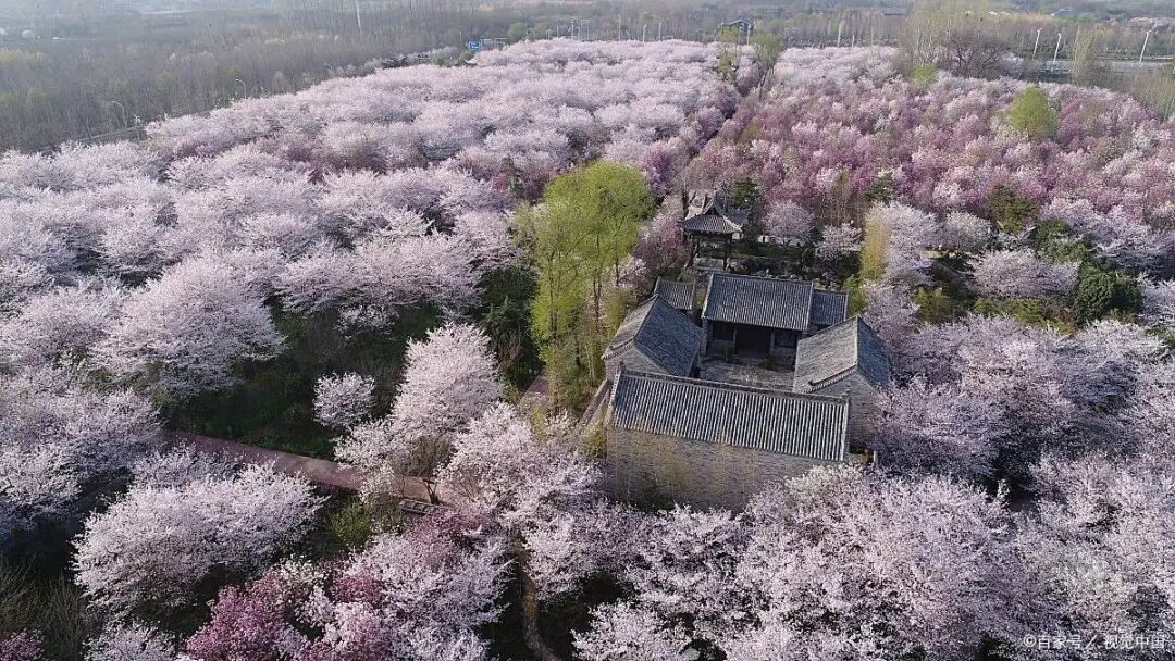 河南：多家景区，女士免门票、男士半价→
