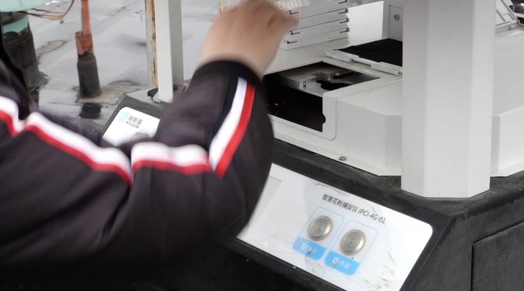 北京人注意了：花粉高峰提前到！打喷嚏、眼痒别大意