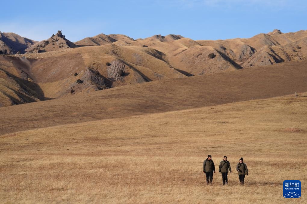 巾帼力量守护祁连山