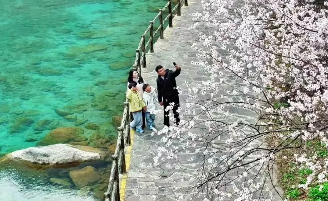 河南：多家景区，女士免门票、男士半价→