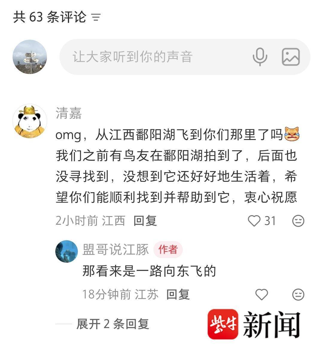 揪心！南京摄影师拍到鸟中大熊猫东方白鹳带着捕兽夹飞行