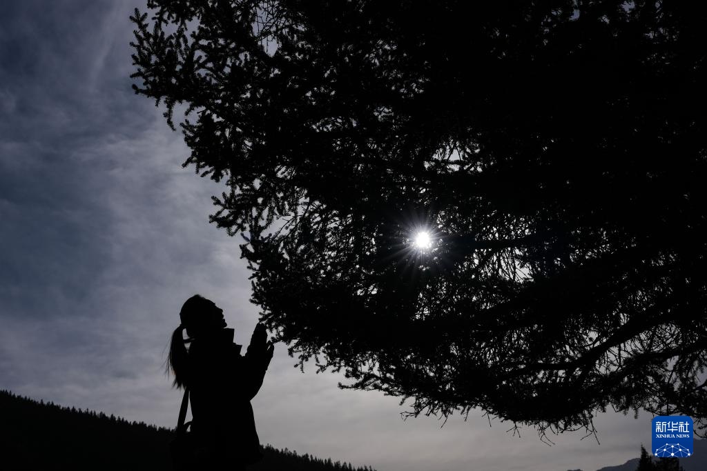 巾帼力量守护祁连山