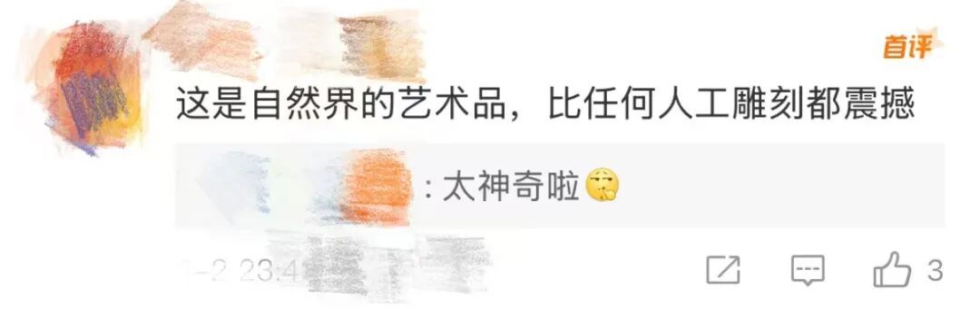 全网围观！云南“过江龙”也是坐上飞机了