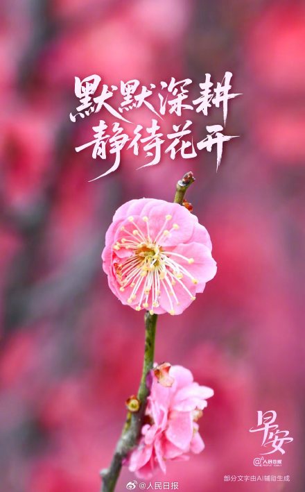 在充满希望的季节，向下扎根、向上生长