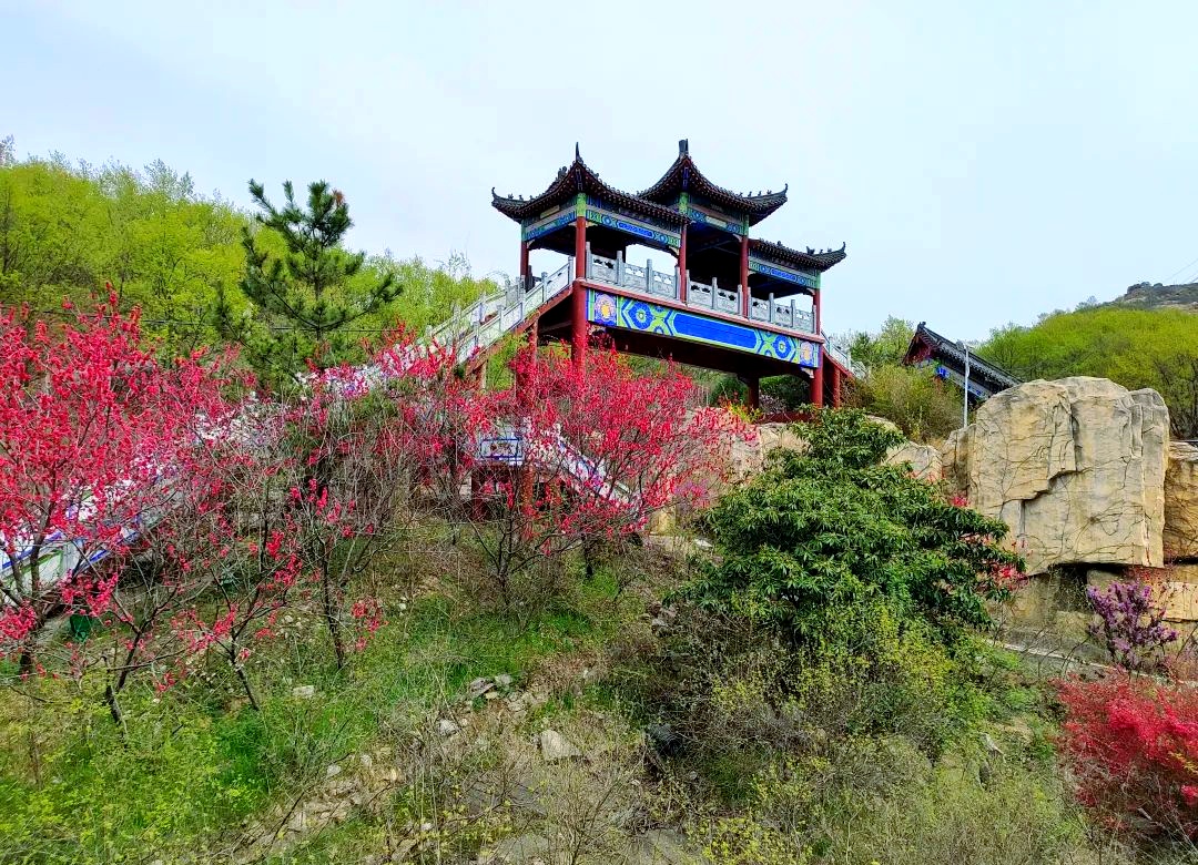 河南：多家景区，女士免门票、男士半价→