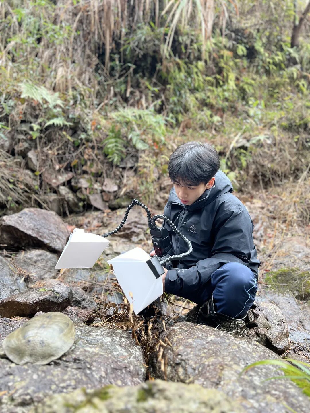 浙江17岁高中生率先发现新物种，联合发文登上SCI