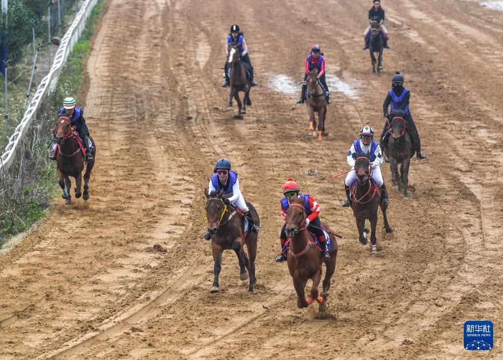 贵州赛“村马” 巾帼绽芳华