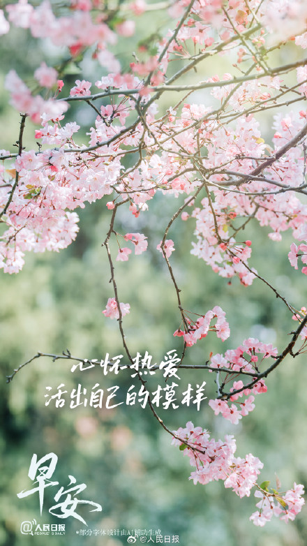 心怀热爱，活出自己的模样