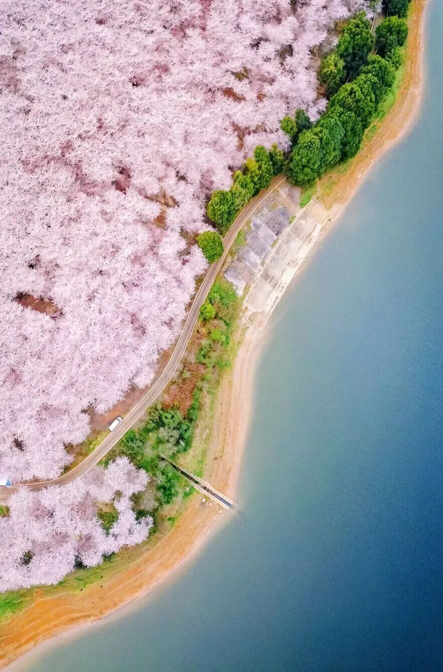 杭州出发，低至“2”字头！网友：直接冲