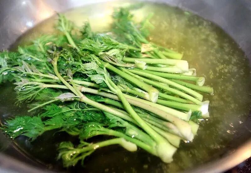 “春菜”上市！这些人吃的时候特别注意→