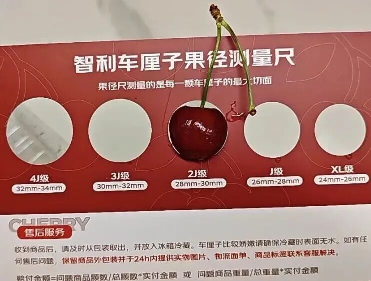 蓝莓越大，营养越少？大多数人都选错了！掌握技巧选出好蓝莓——