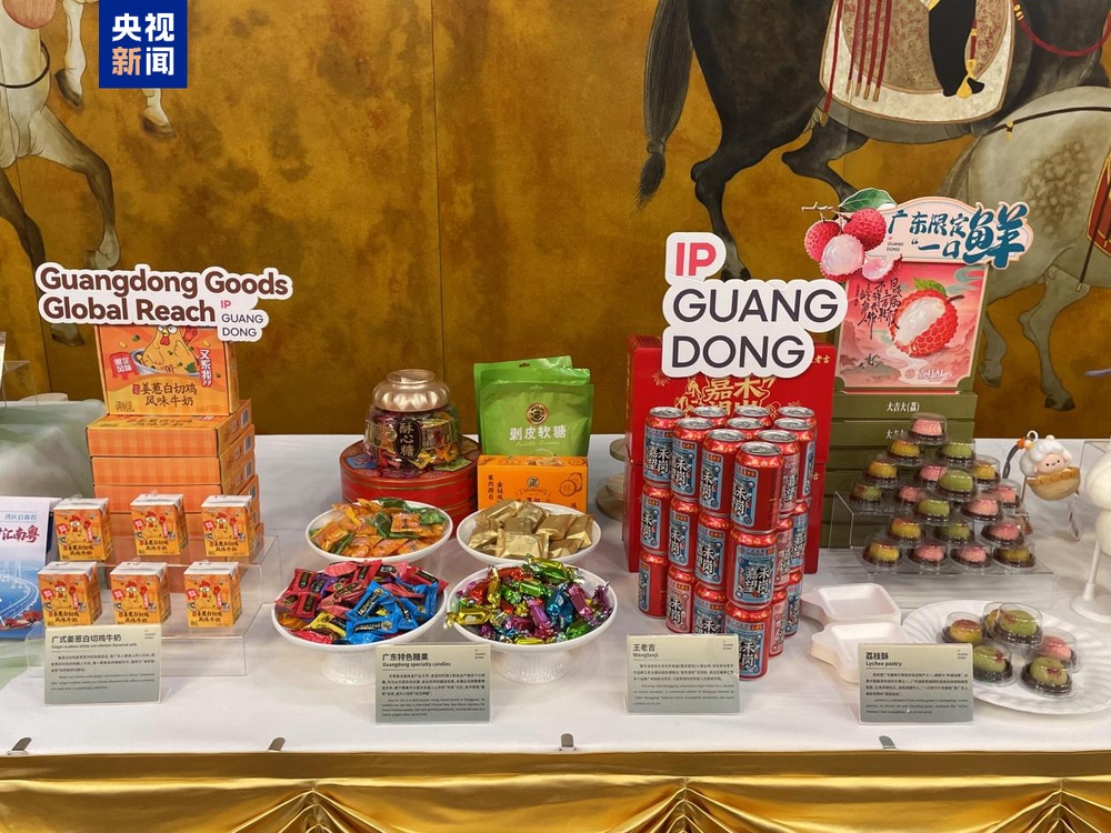 开放日上见“开放” 细节里看广东的“诚意”与“新意”