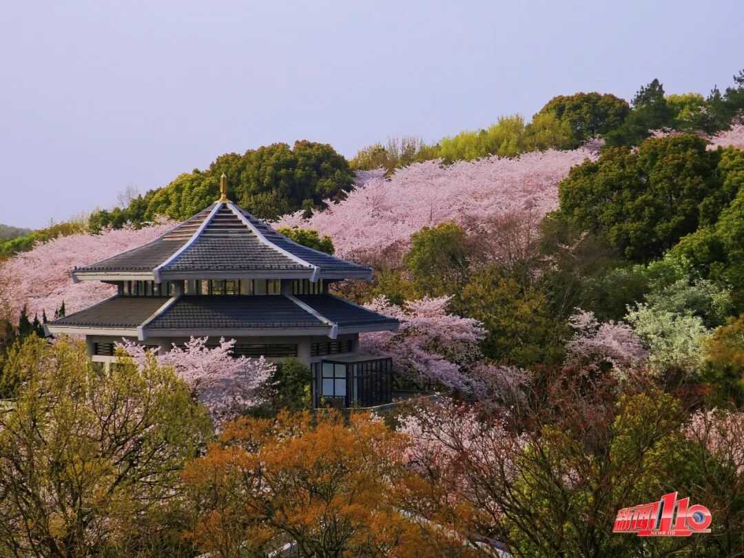 大跳水！突现“2”字头！福州已有人“抄底”买票出发