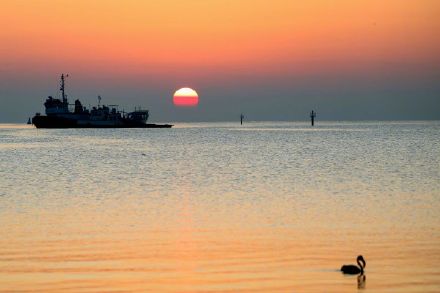 美伊冲突致数万人受困波斯湾海域