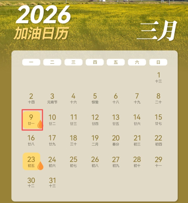 明天，油价又要调整！加满一箱50L的95#汽油，预计将增加20.5元
