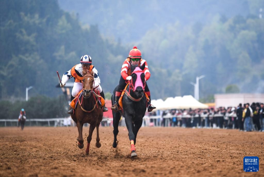 贵州赛“村马” 巾帼绽芳华