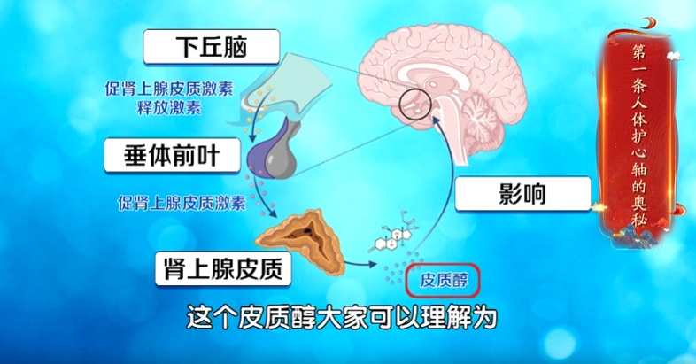 一种“招病”的锻炼方式，很多人却急着做，赶紧改→