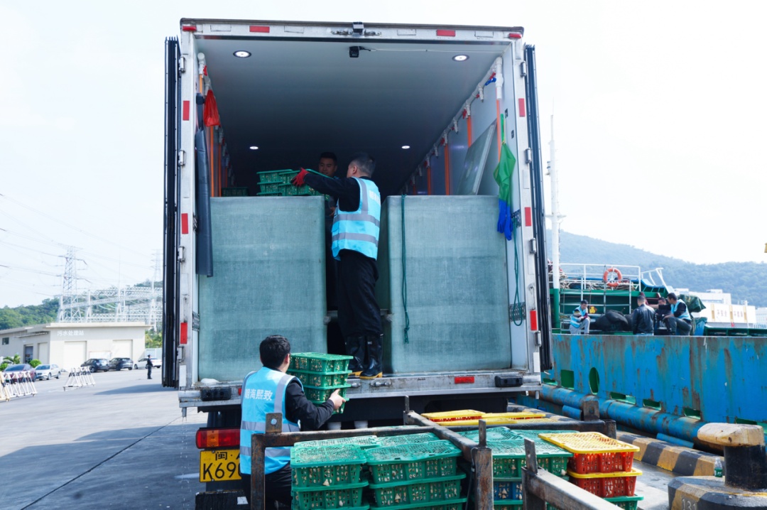 生鲜坐上“头等舱”，海南→珠海最快一日达