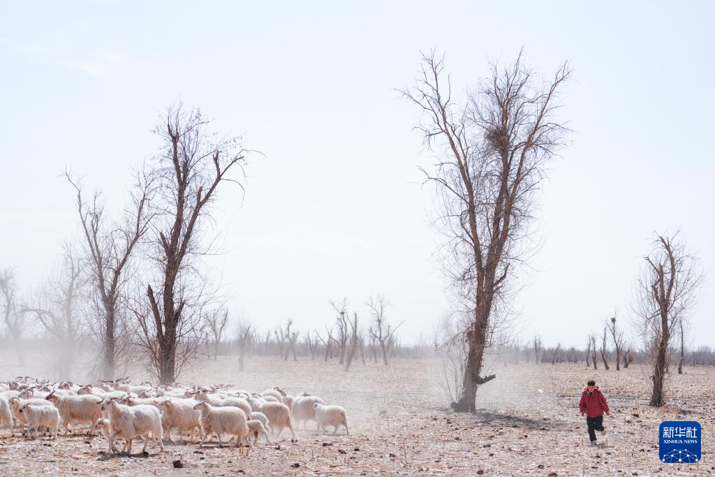 “异地借牧”牧人的春日转场