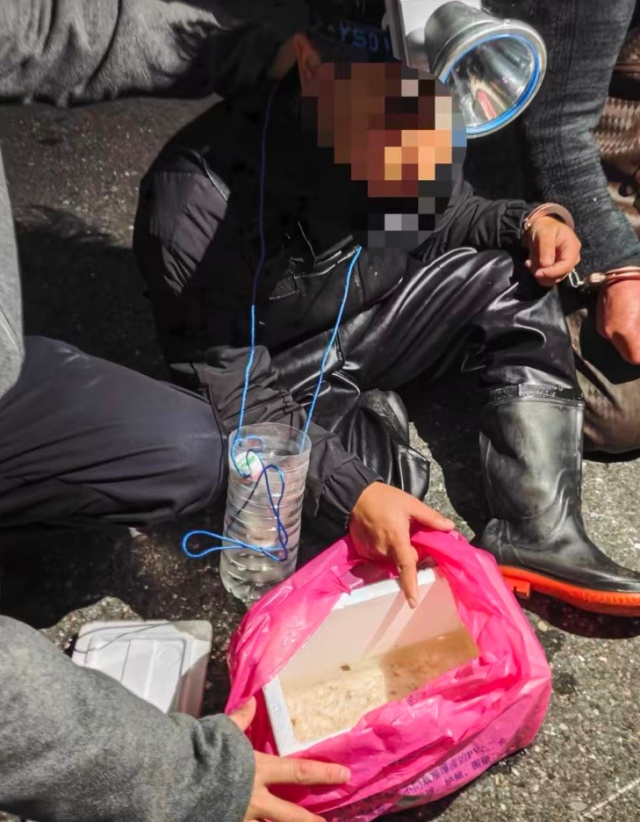 凌晨4人在钱塘江边头戴照明灯，携带“密网”抓鳗鱼苗，被抓！