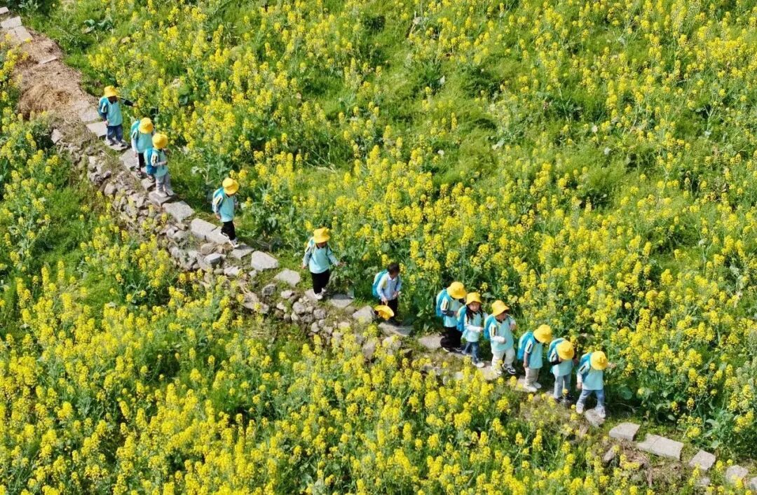 “春秋假”写入报告，别让家长“请假”