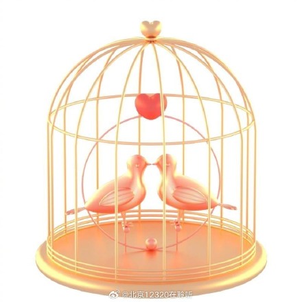 预防鹦鹉热衣原体肺炎，给鸟友的建议