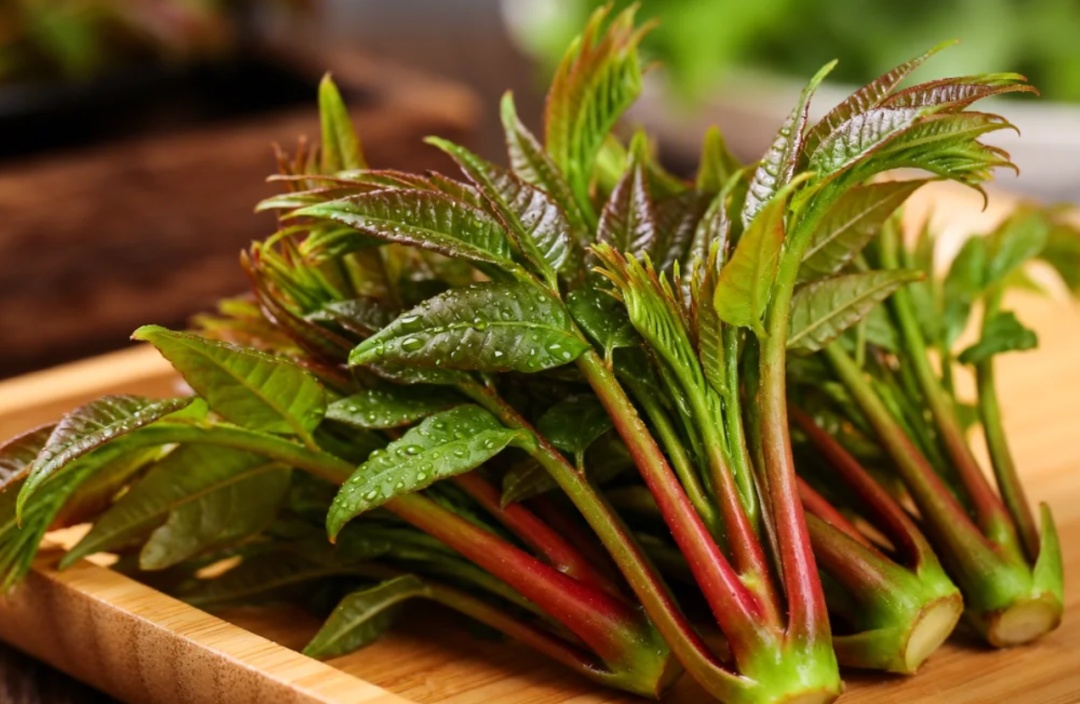 春天尝鲜要“会吃”!这些禁忌很多人不知道→ 春天尝鲜要“会吃”!这些禁忌很多人不知道→