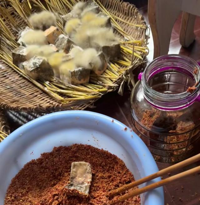 豆腐长白毛是地方小吃，长彩毛只会让你成为绝命毒师