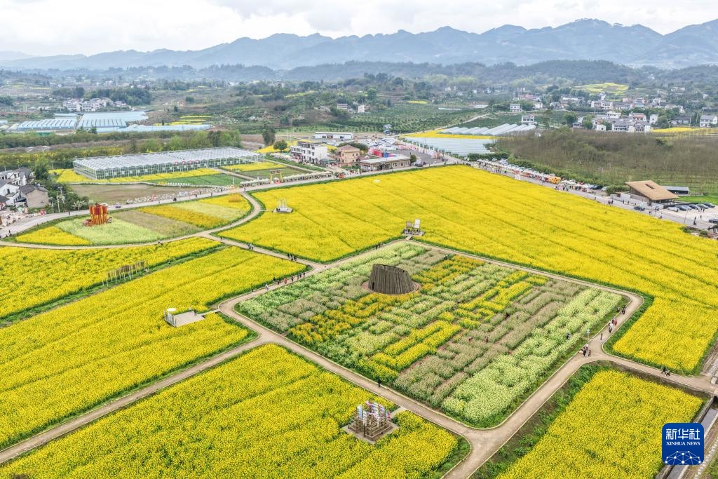 重庆璧山：花开引客来 融合促振兴