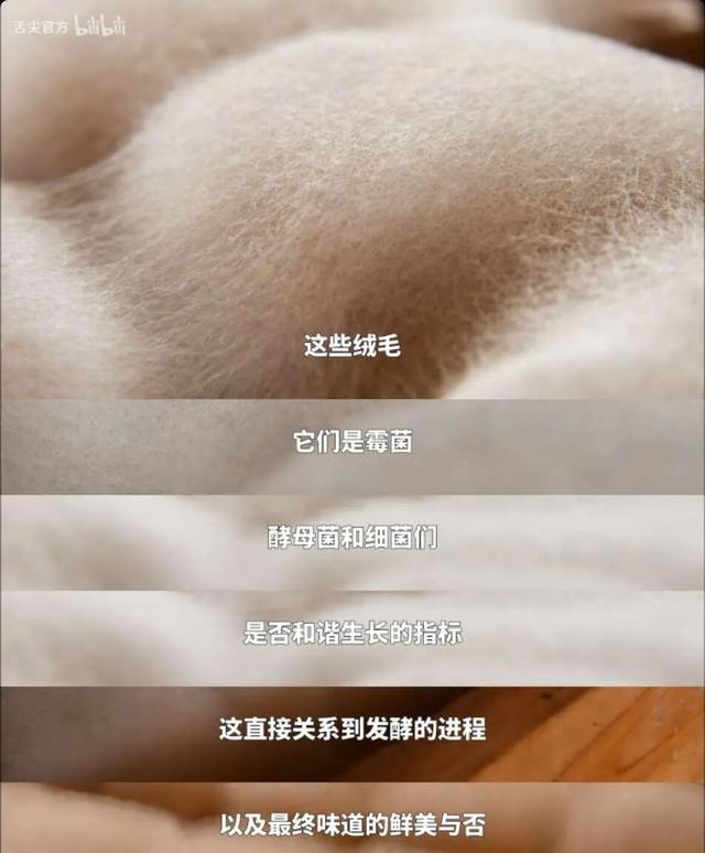 豆腐长白毛是地方小吃，长彩毛只会让你成为绝命毒师