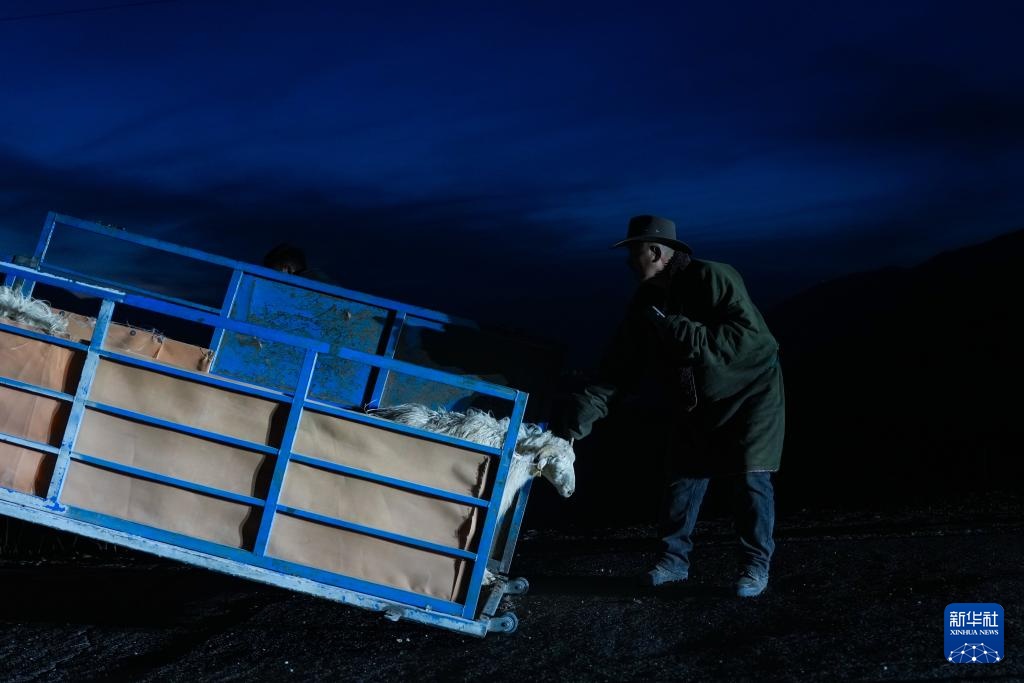 “异地借牧”牧人的春日转场