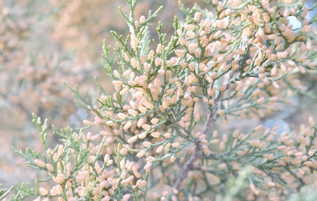 北京本周回暖！但这件事没做好，当心生病