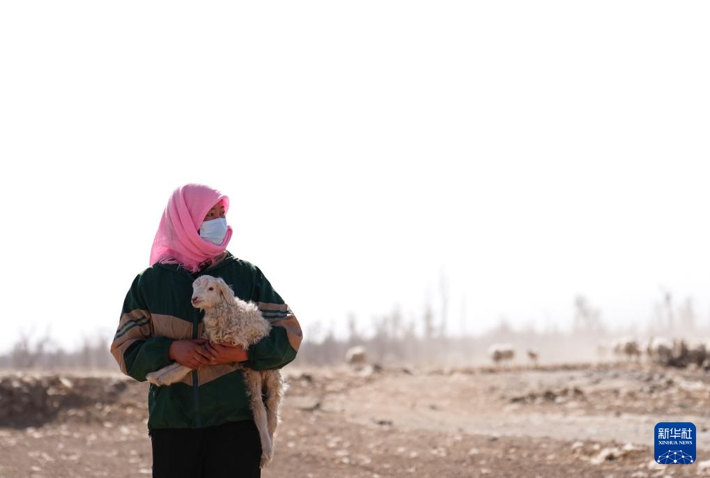 “异地借牧”牧人的春日转场