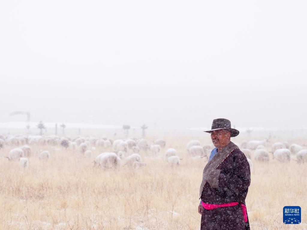 “异地借牧”牧人的春日转场